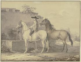 Spanish horses