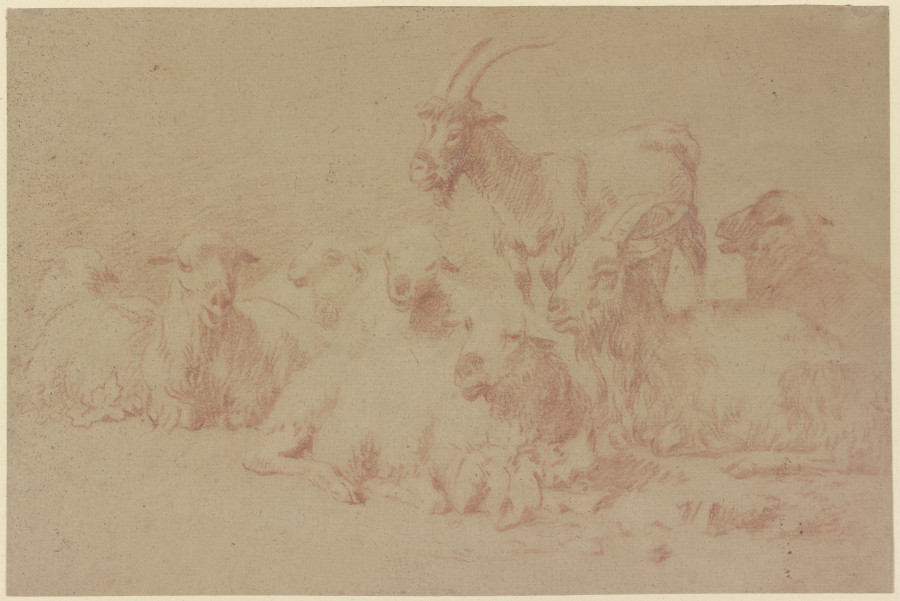 Zwei Ziegen und sechs Schafe from Johann Heinrich Roos
