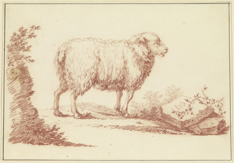 A sheep to the right from Johann Ludwig von Pfeiff