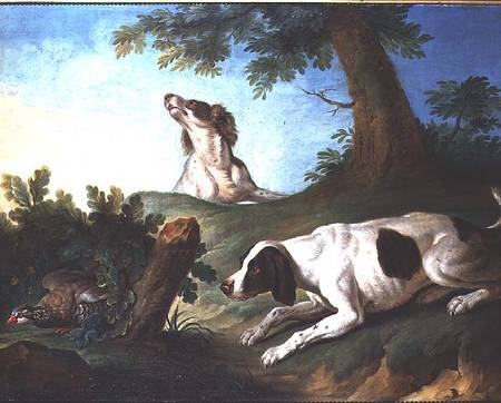 Spaniels putting up a partridge from Johann-Michael Baader
