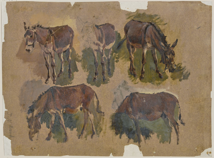 Five mules from Johann Nepomuk Rauch