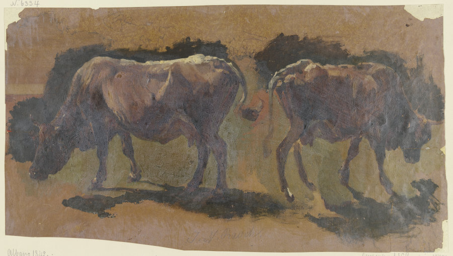 Two cows in Albano from Johann Nepomuk Rauch