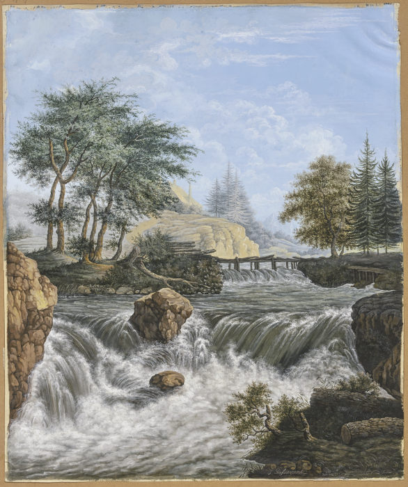Wasserfall im Gebirge, am Ufer und im Hintergrund Nadelhölzer from Johann David Passavant