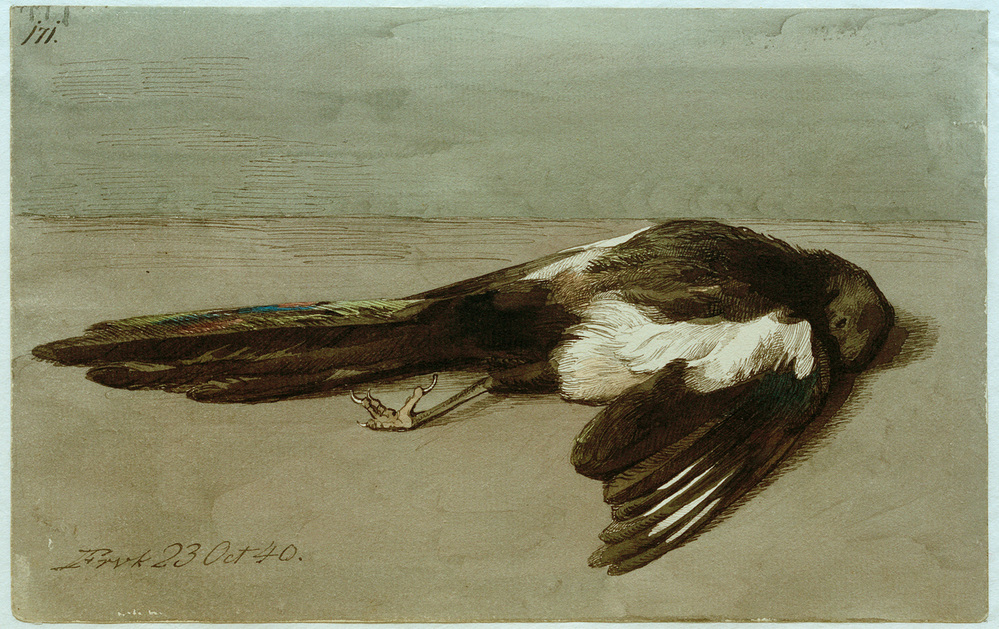 Eine tote Elster from Johan Thomas Lundbye