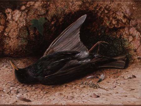 Starling from John Atkinson Grimshaw