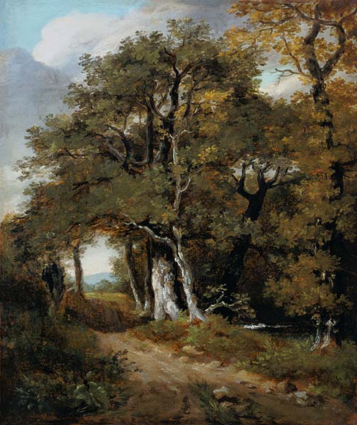 J.Constable, A Woodland Scene, c.1801. from John Constable