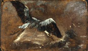 J.Constable, Study of a Heron.
