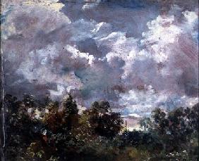 Study of Sky and Trees