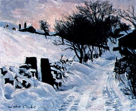 Back Lane, Dentdale from John  Cooke