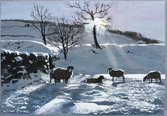 Winter Afternoon at Dentdale from John  Cooke