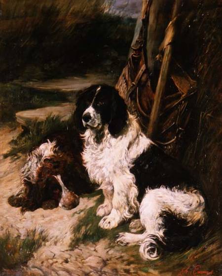 Brown and White and Black and White Spaniel from John Emms