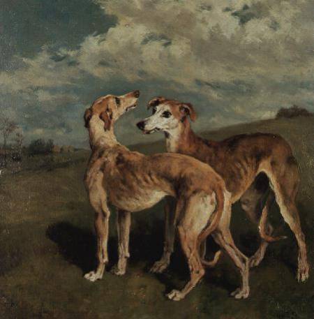 Greyhounds from John Emms