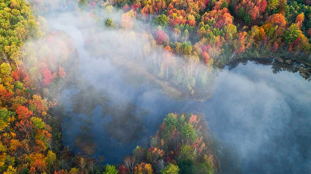 Autumn Symphony I from John Fan