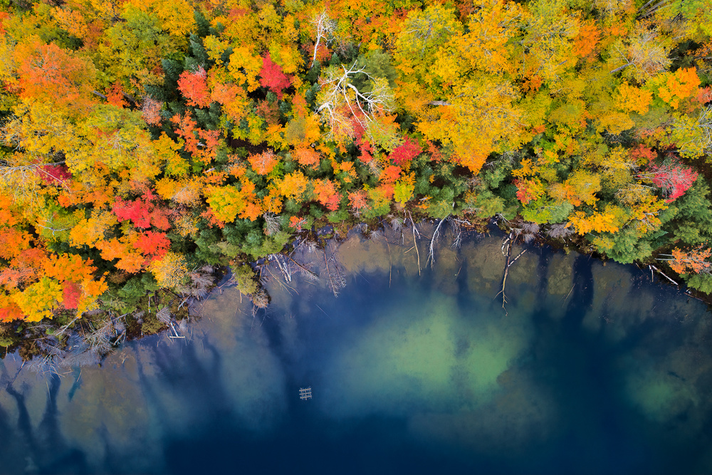 Autumn Pond from John Fan