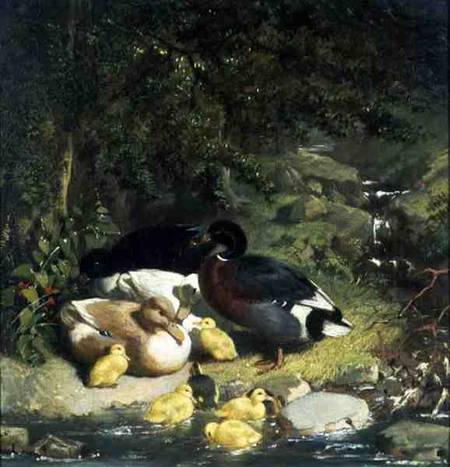Ducks and Ducklings from John Frederick Herring d.Ä.
