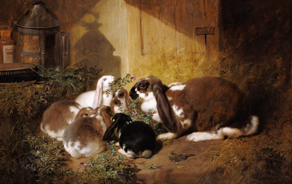 Rabbit family from John Frederick Herring d.Ä.