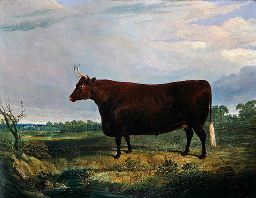 Portrait of a Brown Bull, 1831 (oil on canvas) from John Frederick Herring Snr