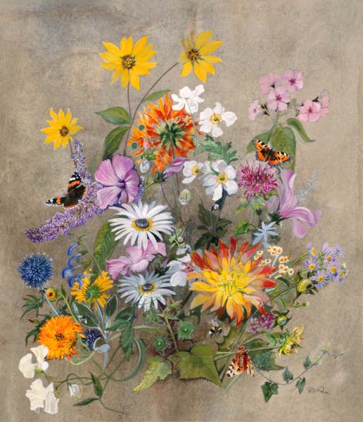 Summer Flowers  from John  Gubbins