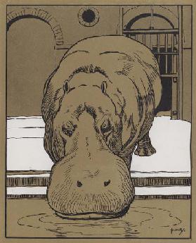 "I cannot bring myself to believe that this is a very witty animal" (colour litho)