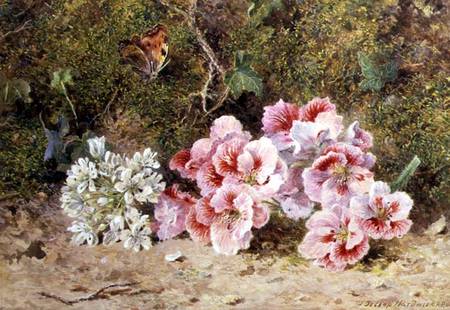 Butterfly and Flowers from John Jessop Hardwick