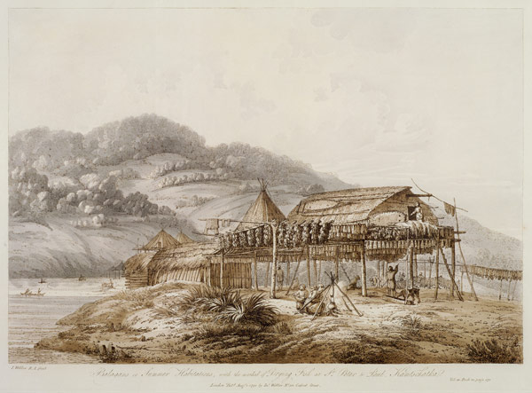 Balagans or Summer Habitations, with the Method of Drying Fish at St. Peter and Paul, Kamtschatka, f from John Webber