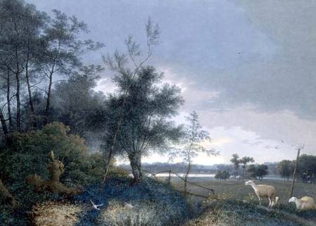 Landscape with a fox chasing geese from Joseph August Knip