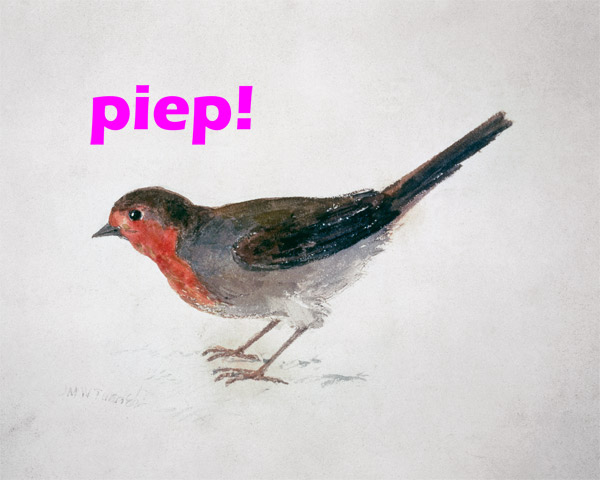Robin, from The Farnley Book of Birds  - "piep!" from William Turner
