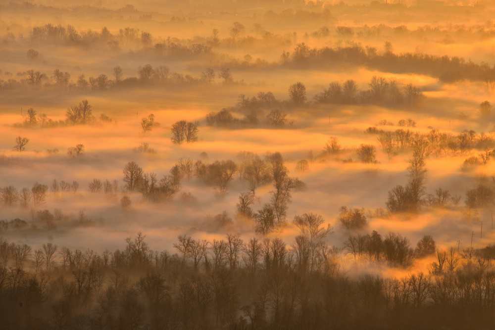 Morning mists from Joško Šimic