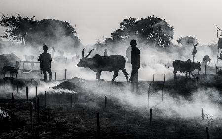 In a Mundari cattle camp - South Sudan