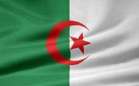 Algerische Flagge