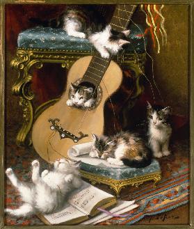 Kittens playing with a guitar