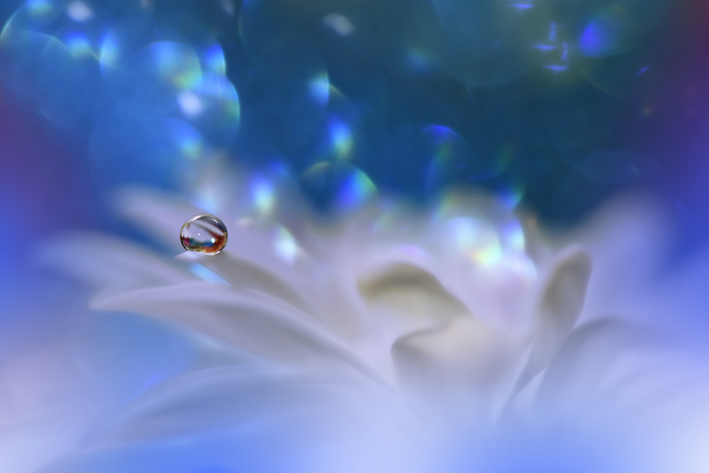 The Song of the Sea... from Juliana Nan