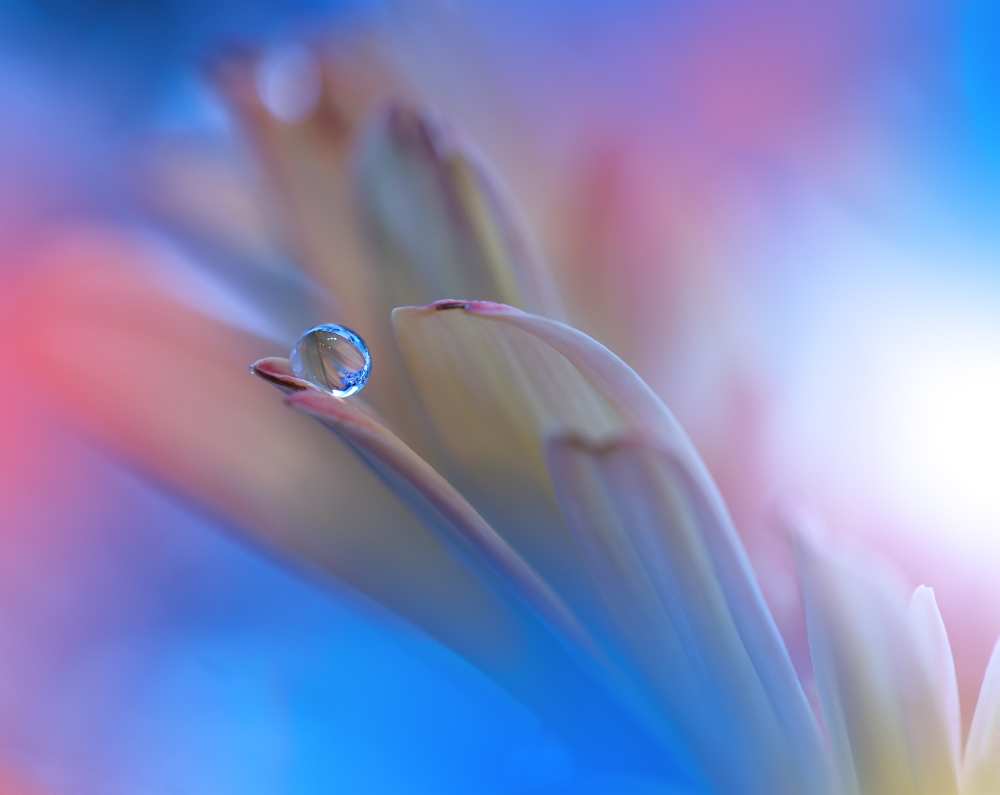 Touch Me Softly... from Juliana Nan
