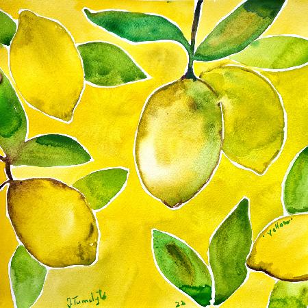 Yellow Lemons