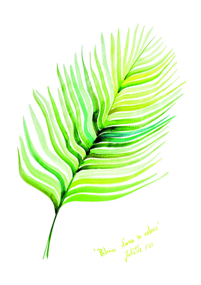 Palma doro in colour from Julija Belickienė