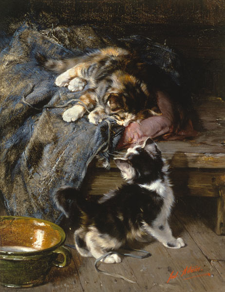 Kittens at play from Julius Adam