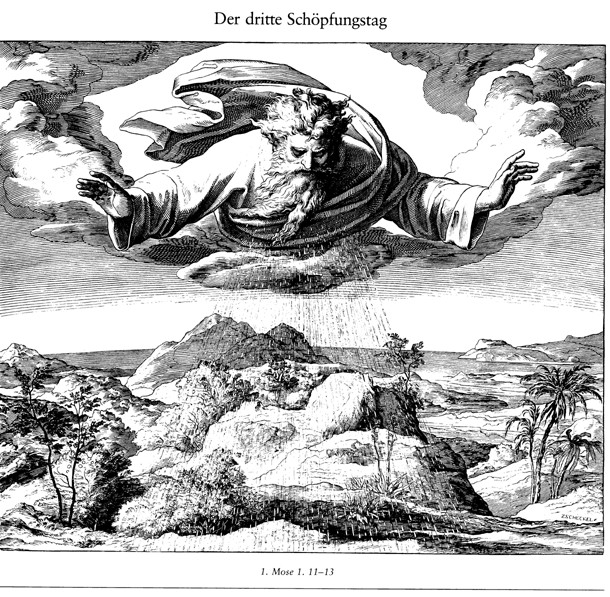 The Third Day of Creation (From Die Bibel in Bildern) from Julius Schnorr von Carolsfeld