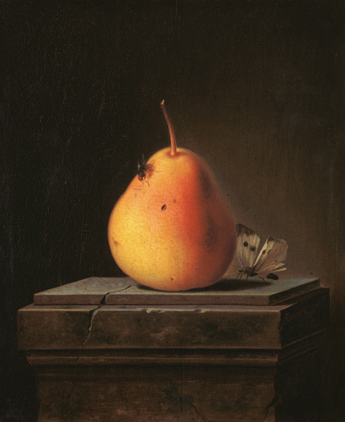 Still Life with Pear and Insects from Justus Juncker