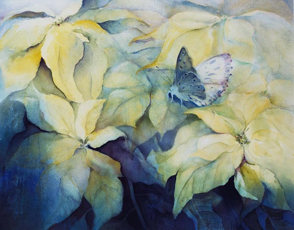 Cream Poinsettia with butterfly  from Karen  Armitage