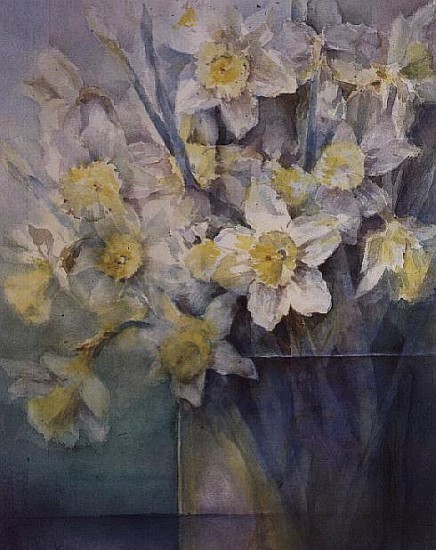 Narcissus - Armarda and Fermoy  from Karen  Armitage