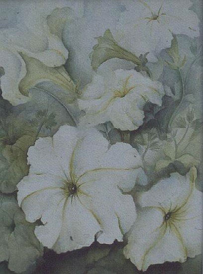 Petunias, white magic  from Karen  Armitage