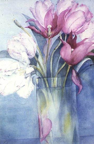 Pink Parrot Tulips and Marlette  from Karen  Armitage