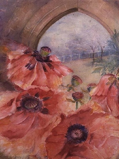 Showgirl Poppies with Archway  from Karen  Armitage