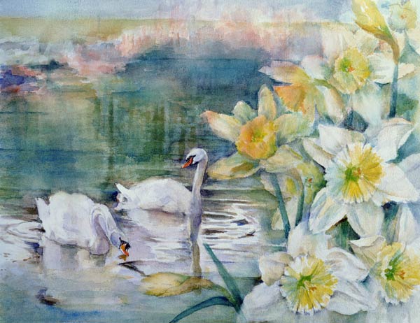Swans at Hurst  from Karen  Armitage