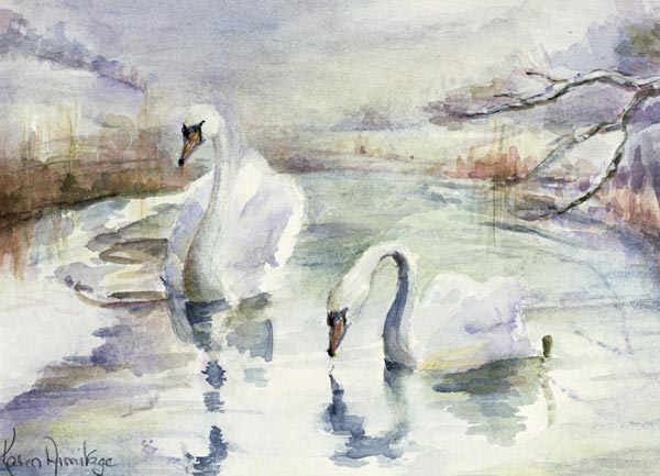 Swans in Winter  from Karen  Armitage