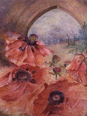 Showgirl Poppies with Archway 