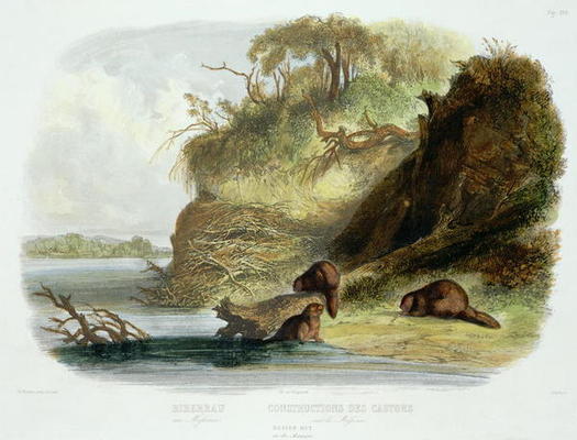 Beaver Hut on the Missouri, plate 17 from volume 1 of `Travels in the Interior of North America', en from Karl Bodmer