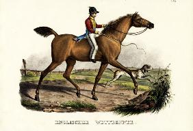 English Racer Horse