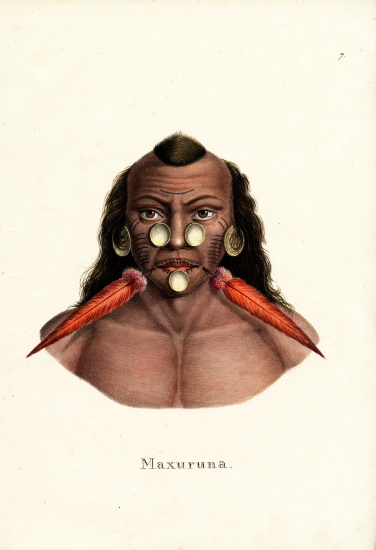 Peruvian Indian from Karl Joseph Brodtmann