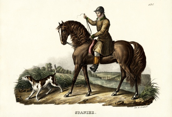 Spanish Hunter Horse from Karl Joseph Brodtmann